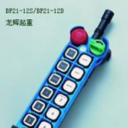 �_(t��i)�����������b����-BF21-12D/BF21-12s Yuding explosion proof remote controller