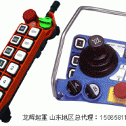�_(t��i)�������b���� F24-8S  Taiwan Yuding remote controller F24-8S