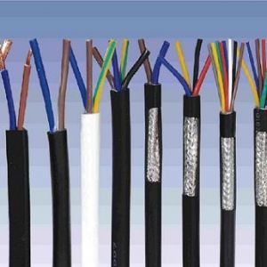 ������|����|���N��е�һ�N��ʲô�ǿ�����|��